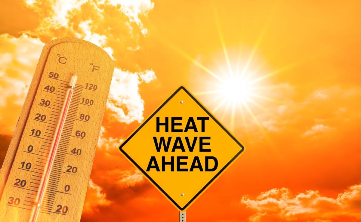 Rajasthan Braces For Extreme Temperatures, Weather Officials Heatwave Alert