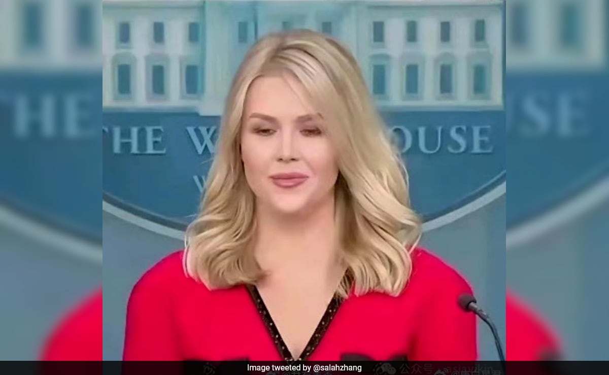 Chinese Envoy Claims White House Press Secretary's Dress Is 'Made In China'
