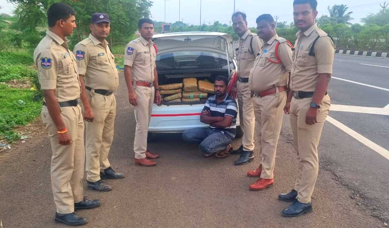 Eighty kg of ganja being smuggled to Karnataka seized in Sangareddy