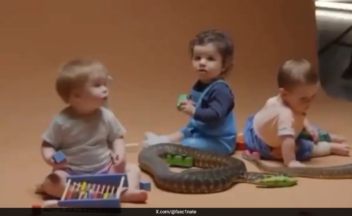 Video: Babies Play With Snake, What Scientists Discovered Will Surprise You