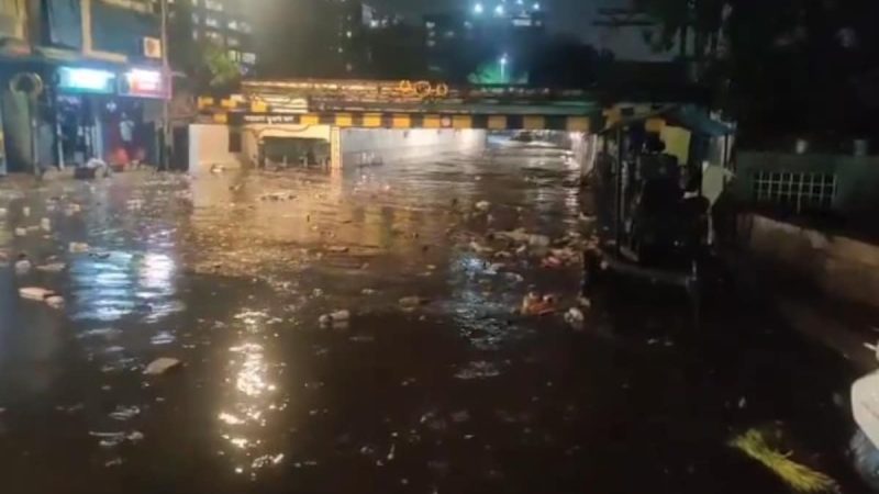 Fallen Trees, Flooded Underpasses: Heavy Rain Causes Chaos In Mumbai