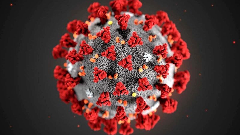 Covid-19 Cases Rising Again: All About JN.1 Strain And Its Symptoms