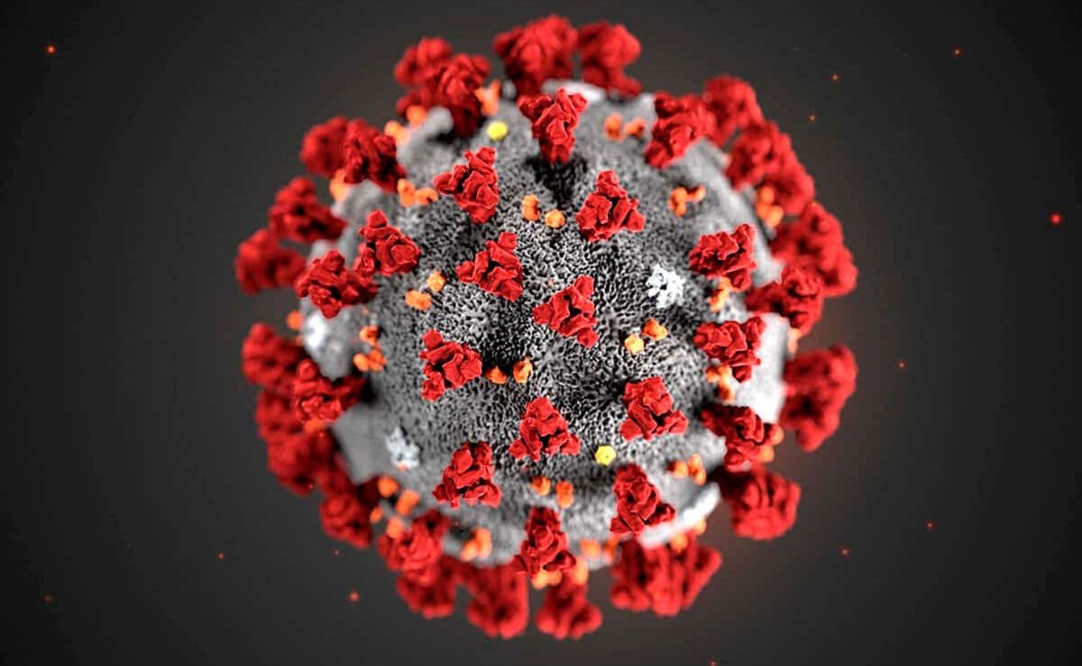 Covid-19 Cases Rising Again: All About JN.1 Strain And Its Symptoms