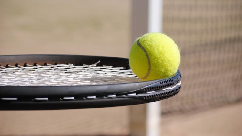 Adani Sportsline To Organise Tennis Tournament In Gujarat's Ahmedabad