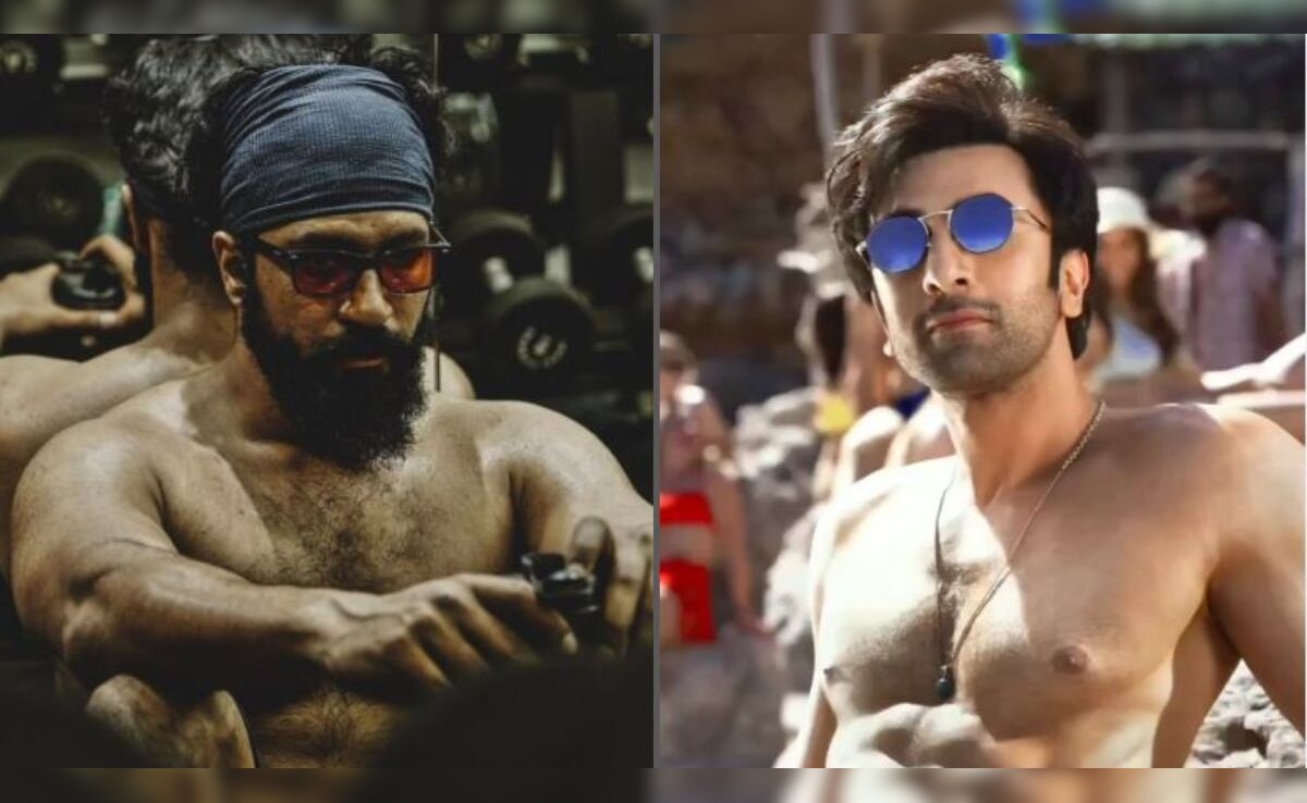 Ranbir And Vicky's Body Transformation For Love & War. Details Inside