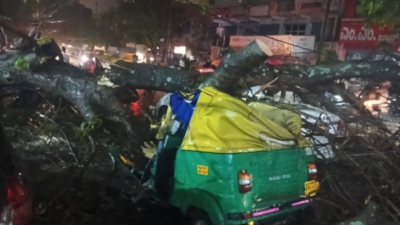 Auto Driver, 45, Dies After Tree Falls On Vehicle Amid Rain In Bengaluru
