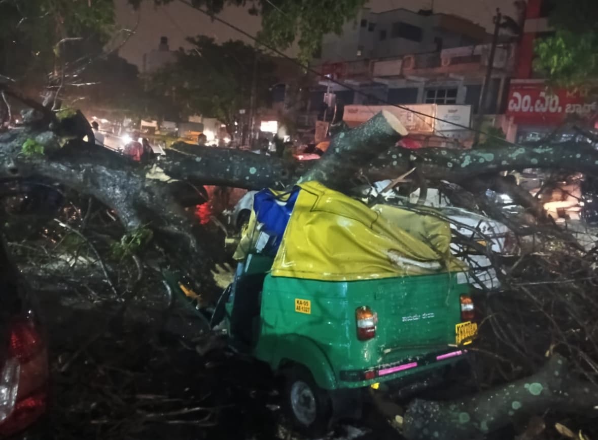 Auto Driver, 45, Dies After Tree Falls On Vehicle Amid Rain In Bengaluru