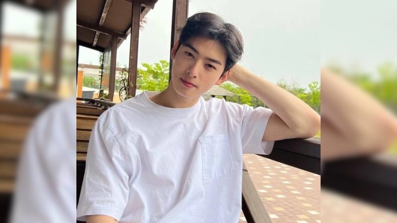 Cha Eun Woo To Enlist In Military By July 2025? Here's What We Know