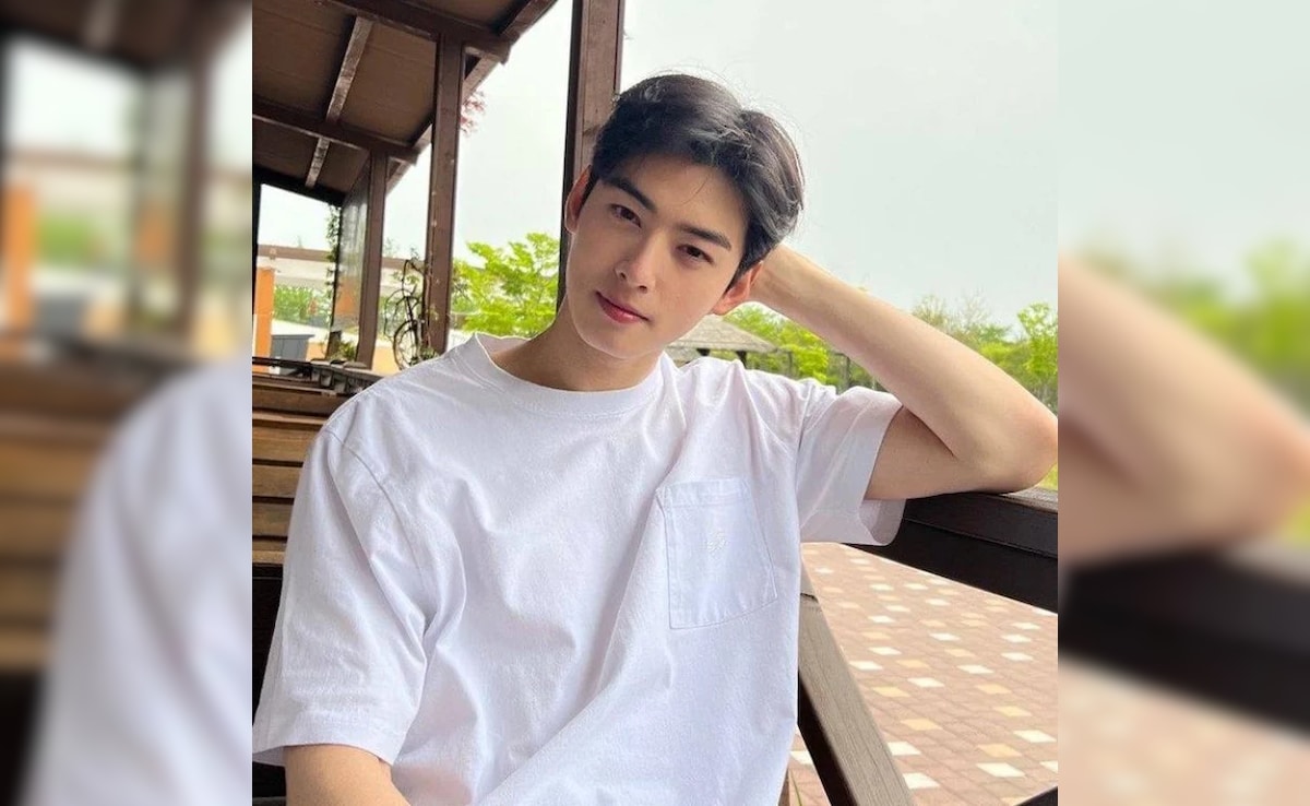 Cha Eun Woo To Enlist In Military By July 2025? Here's What We Know