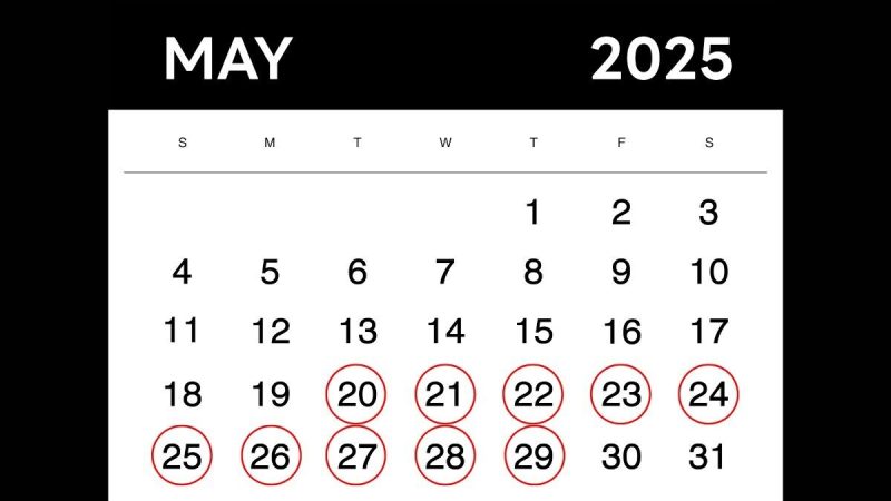 May 2025's Rare Palindrome Dates Spark Viral Buzz Online