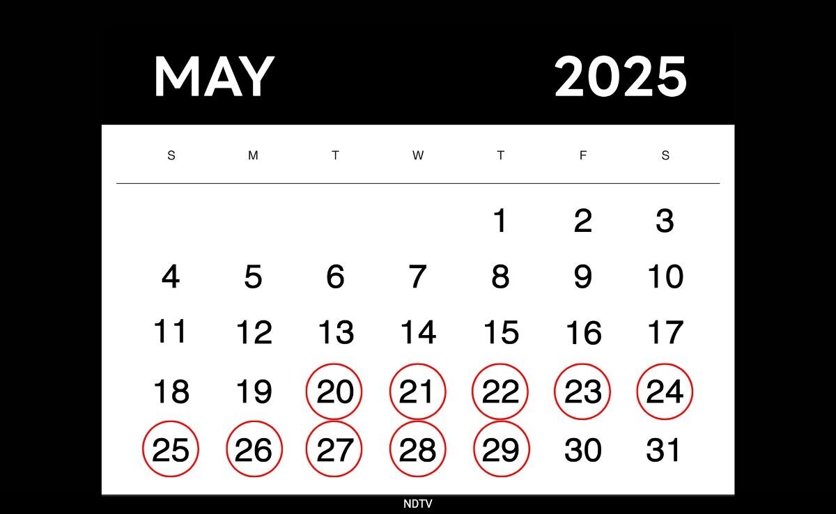 May 2025's Rare Palindrome Dates Spark Viral Buzz Online