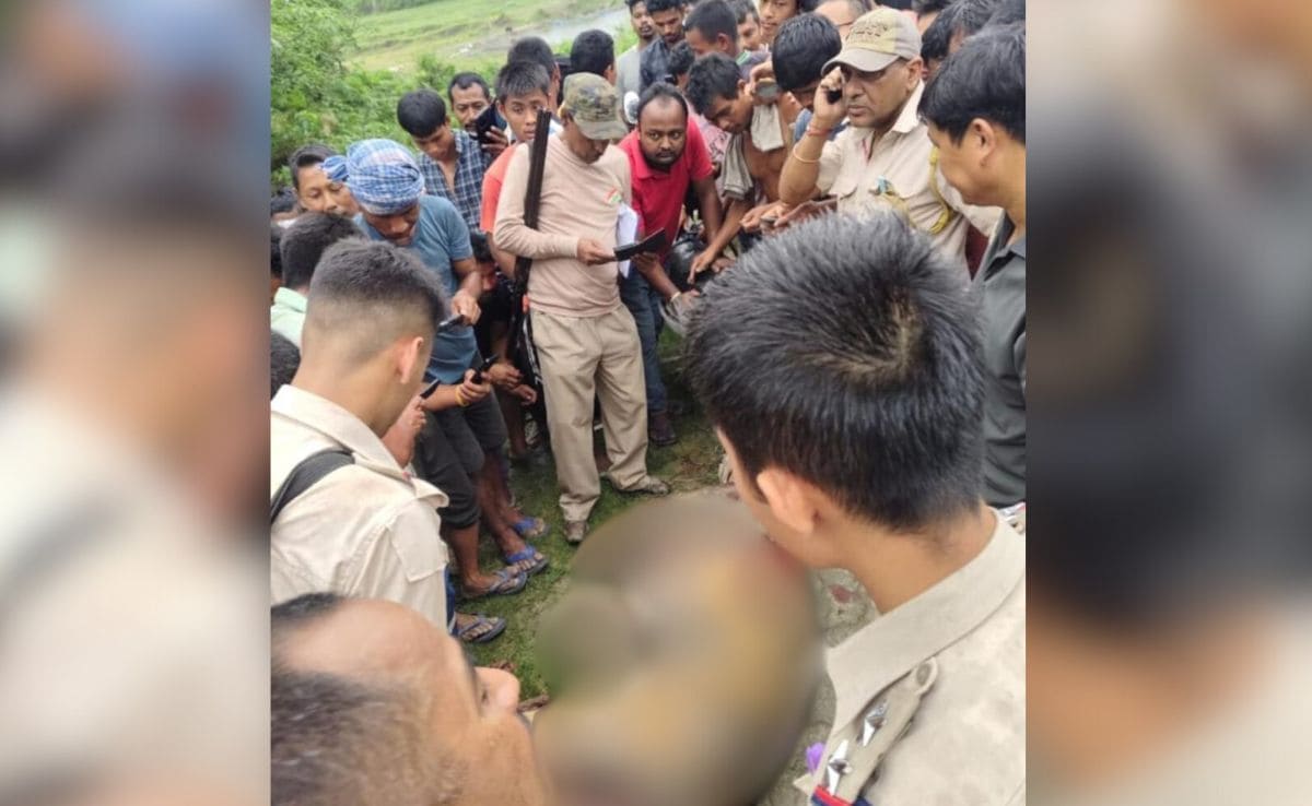 Armed Mob Kills Royal Bengal Tiger In Assam, Skin, Teeth Removed