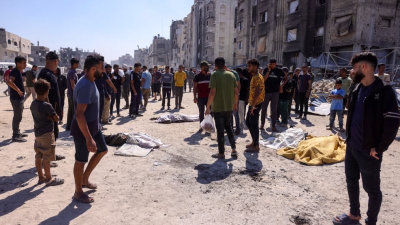 ‘Sadistic pattern’ of genocide: UN condemns Israeli killing of Gaza doctor’s nine children