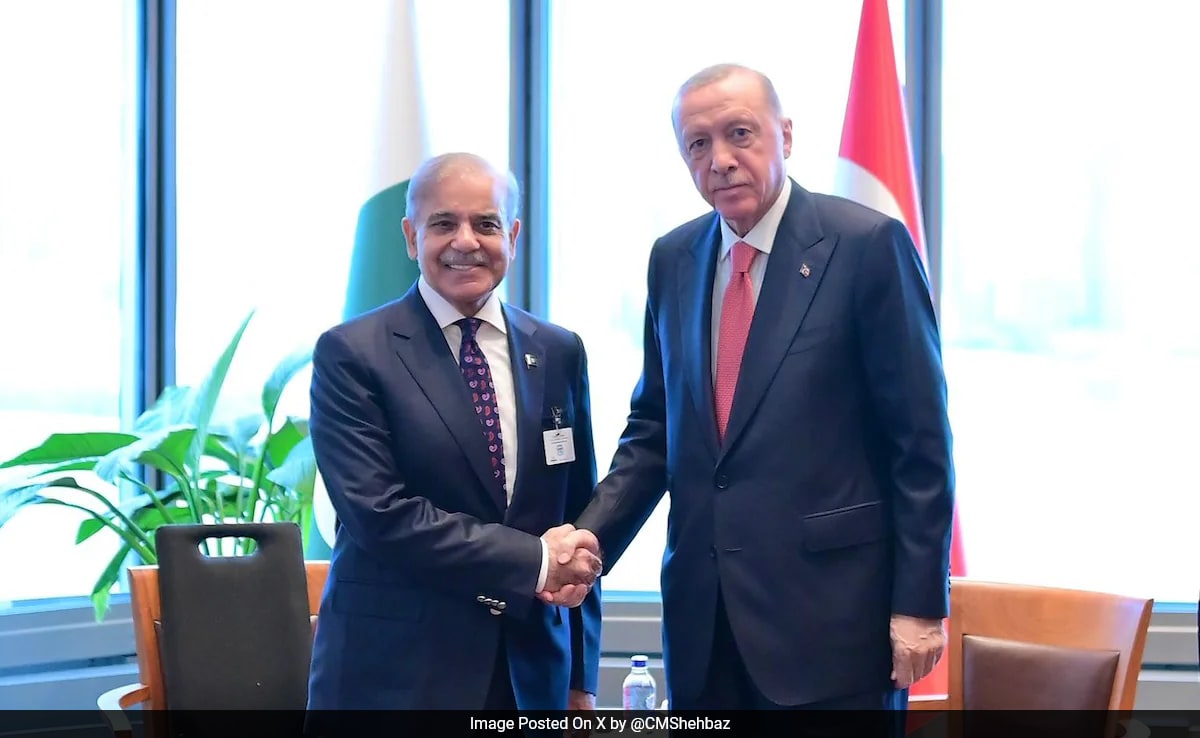 Turkey's Role In Focus After Pakistan's Military Escalation Against India