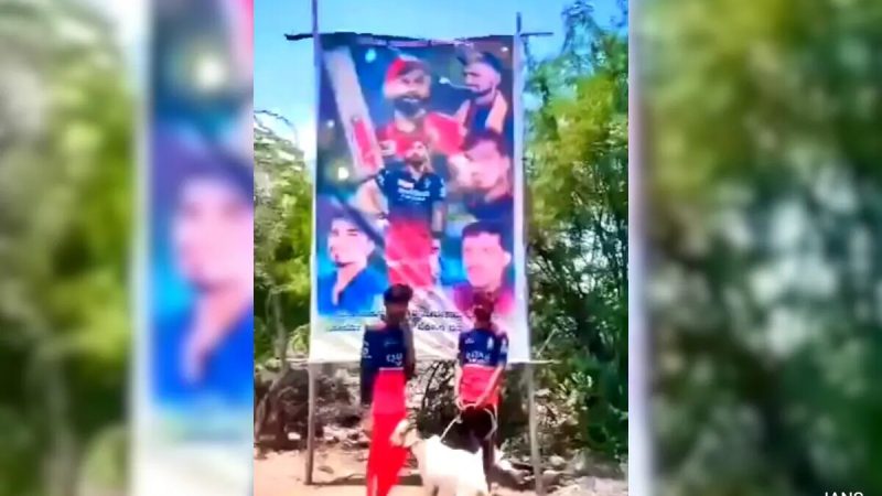 3 RCB Fans Arrested For Sacrificing Goat In Front Of Virat Kohli Cutout: Cops