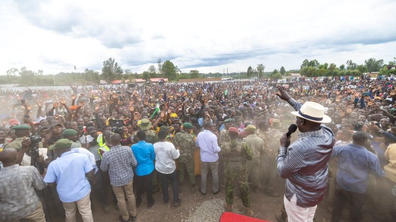VIDEO: Shoe thrown at Kenya's President Ruto during rally