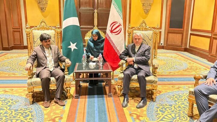 Iran, Pakistan to draft MoU in tourism field: minister
