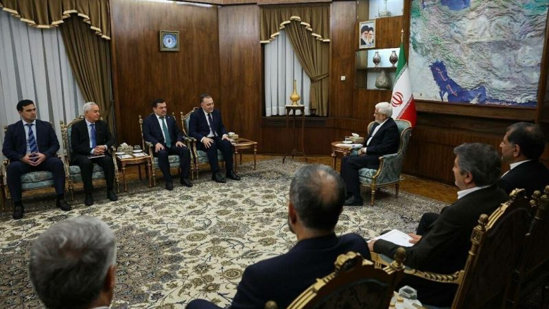 VP terms Iran, Tajikistan second homes of both nations