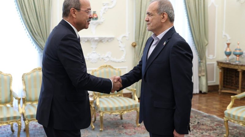 Pezeshkian receives Uzbekistan PM in Tehran