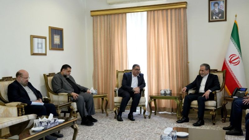 VIDEO: Hamas delegation hold talks with Iran FM