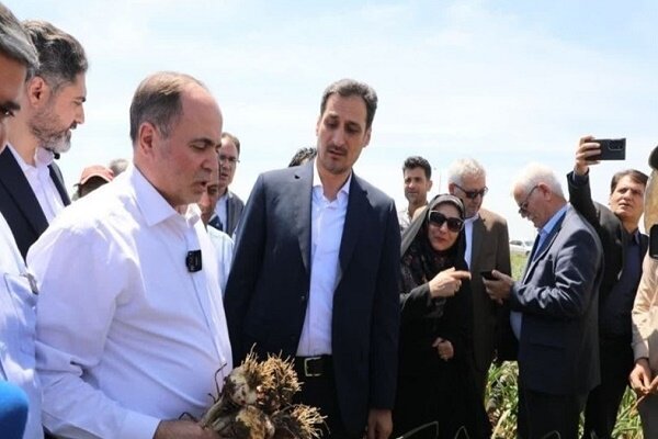 ECO ministerial meeting to be held in Iran