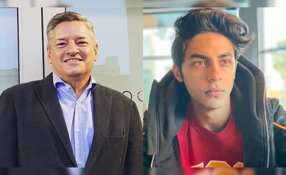 Netflix CEO Ted Sarandos Reviews Aryan Khan's 'Ba***ds Of Bollywood'