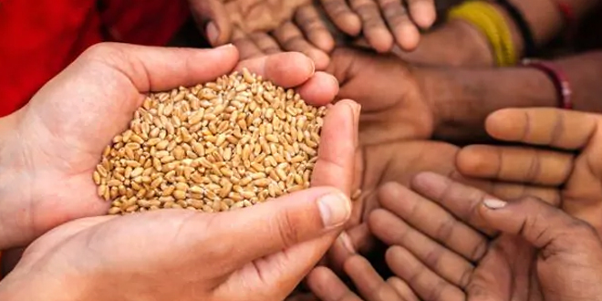 At Ration Shop In Madhya Pradesh, Dead Get Food But The Living Struggle