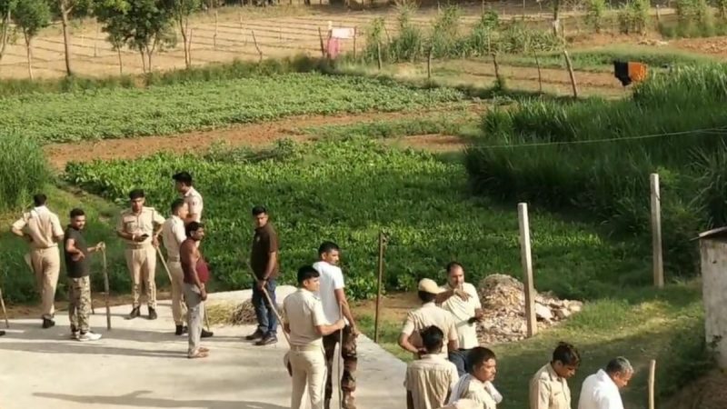 Ranthambore Tigress Which Killed 2 People Caught From Behind Local Hotel