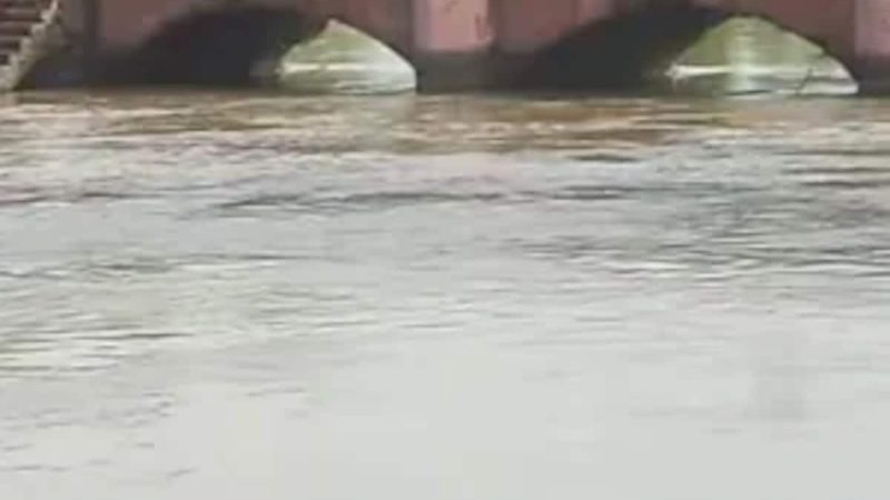 Cop Jumps Into Canal In Bid To Save Woman From Alleged Suicide, Dies