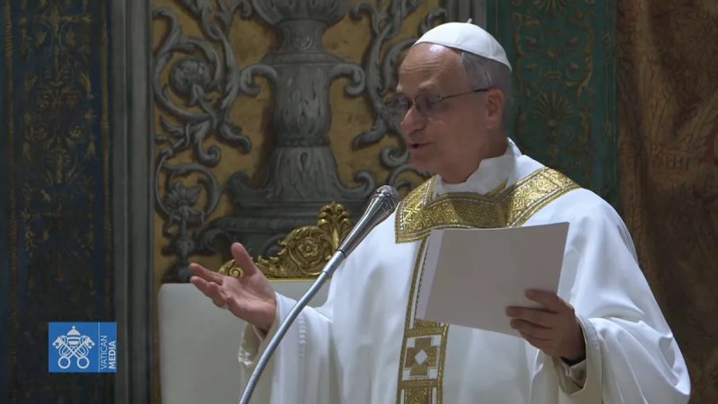 Unity And Peace: Pope Leo XIV's Historic First Mass Sends Strong Message