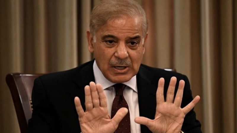 Pakistan PM Shehbaz Sharif Offers Dialogue With India "For Peace"