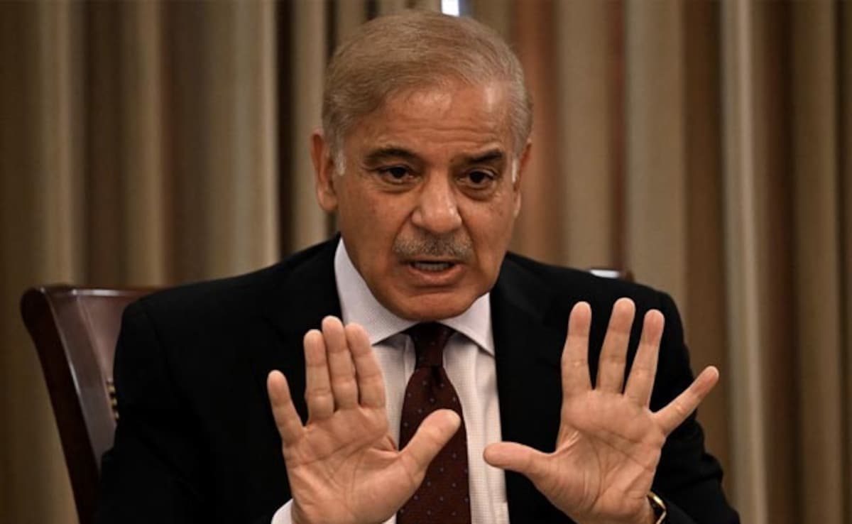 Pakistan PM Shehbaz Sharif Offers Dialogue With India "For Peace"