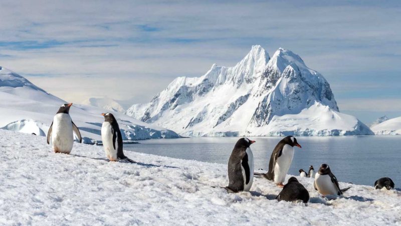 Antarctica hides a vast mountain range beneath its ice
