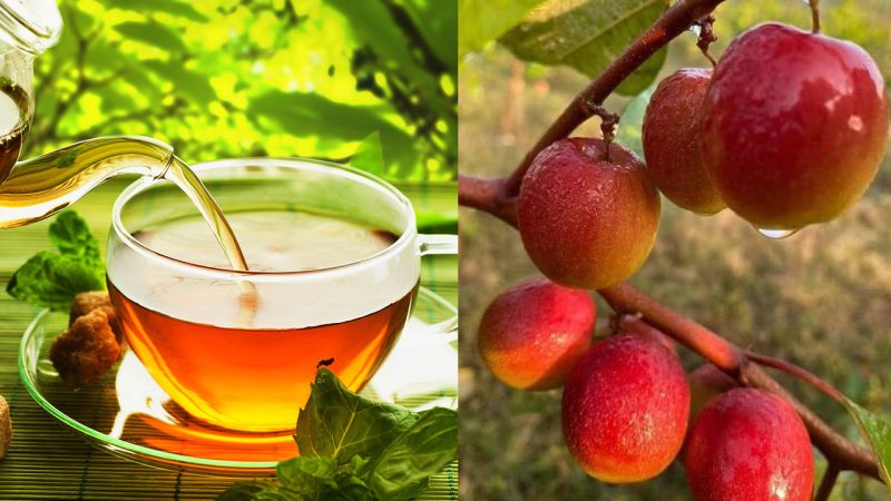 Want to age healthy? Higher intakes these items may help