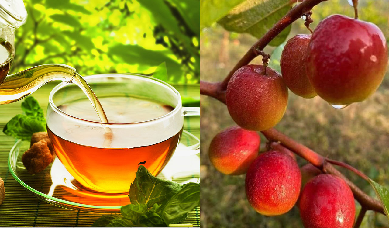 Want to age healthy? Higher intakes these items may help