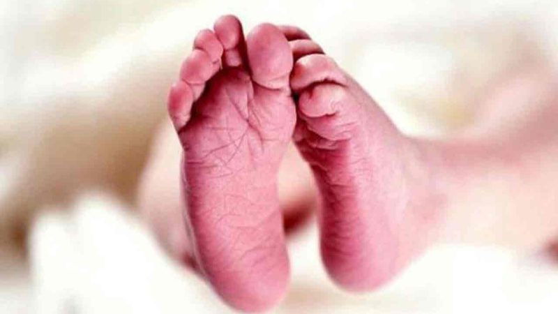 Private hospital staff in Hyderabad conduct cesarean with instructions from doctor over phone; twins die hours after birth