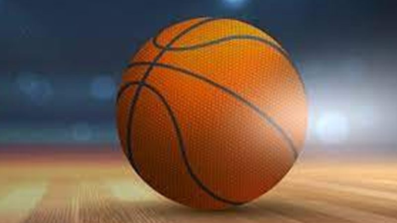 Six players from Telangana selected for basketball national coaching camp