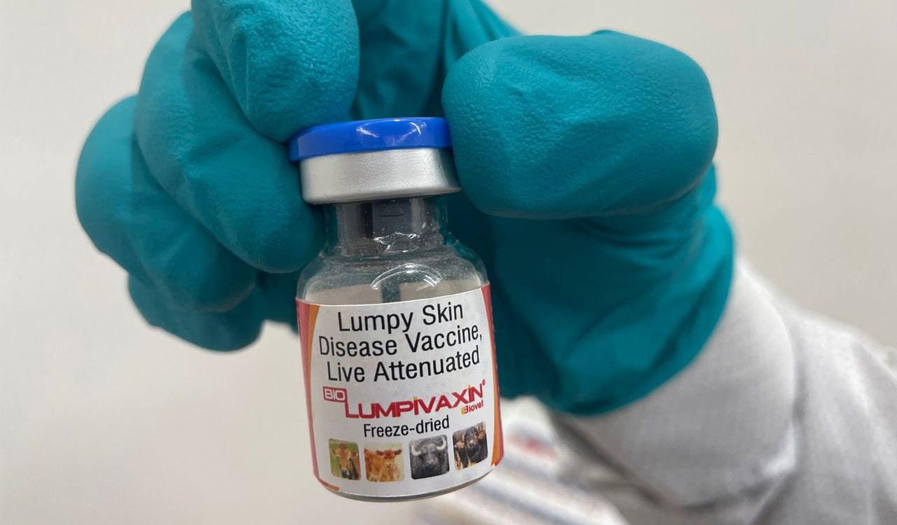 Biovet, subsidiary of Hyderabad-based Bharat Biotech, launches vaccine for Lumpy Skin Disease