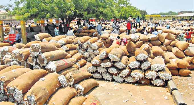 Rs. 3000 crore scam in cotton purchases in Telangana: BRS seeks probe