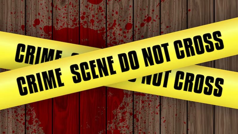 Naxalites kill deputy sarpanch in Chhattisgarh’s Sukma