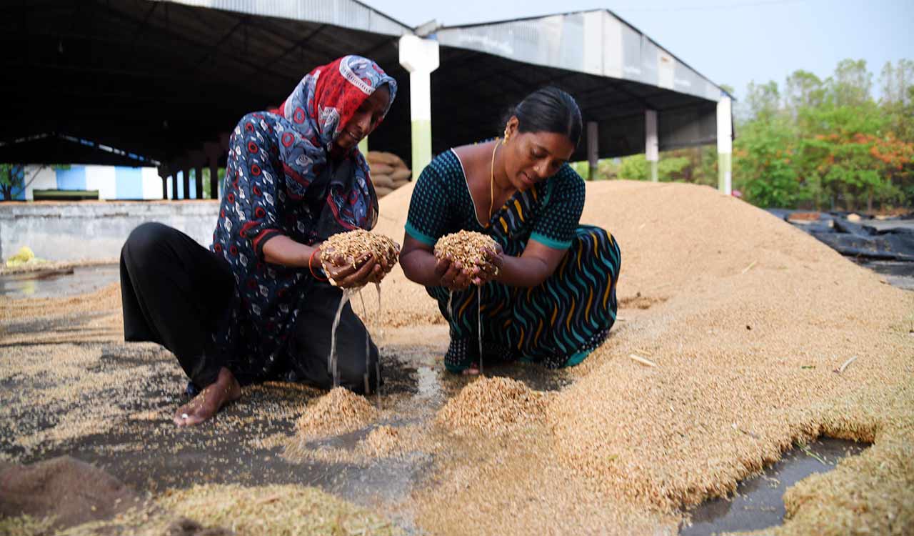 Unseasonal rains in Telangana wreak havoc on crops, farmers demand relief