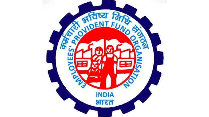 Govt approves interest rate at 8.25 per cent on employees’ provident fund for FY25