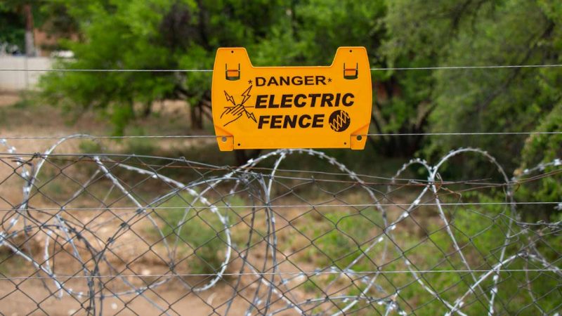 Wild animal, suspected to be a tiger, electrocuted in Telangana’s Asifabad