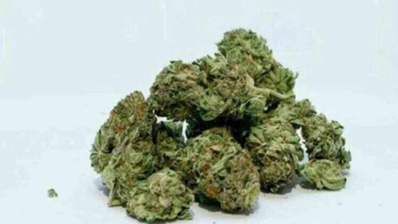 Drug racket busted in Hyderabad; two interstate drug peddlers, three consumers arrested