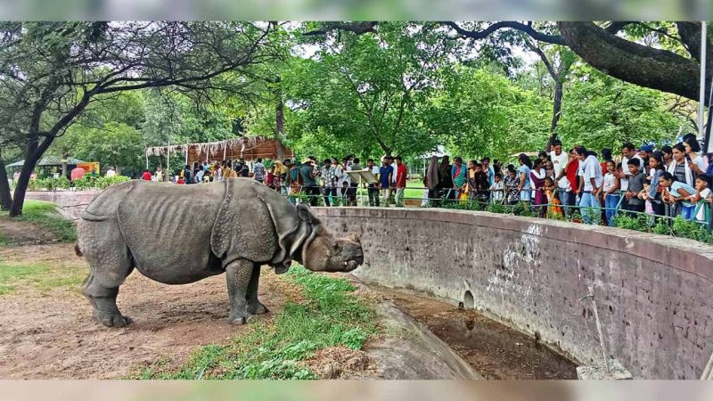 Over 24,000 throng Nehru Zoological Park, Hyderabad on May 25