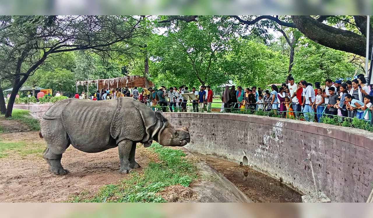 Over 24,000 throng Nehru Zoological Park, Hyderabad on May 25