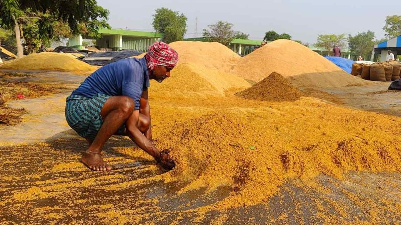 Drying paddy on roads turn into death traps for motorcyclists in Telangana’s Karimnagar