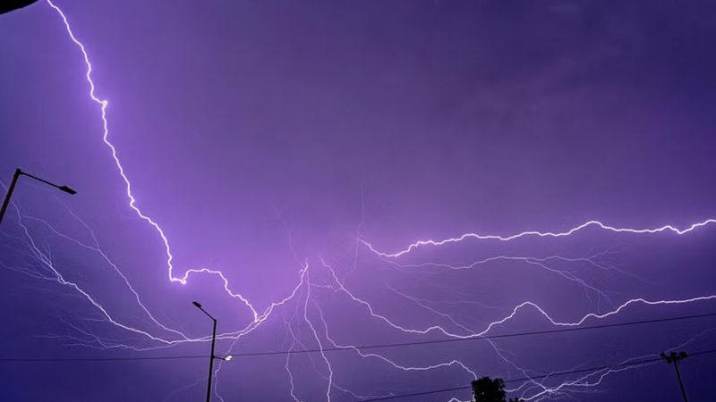 Rains and lightning: 25 sheep electrocuted in Telangana’s Peddapalli