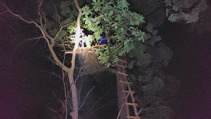 Telangana: First-ever moonlight wildlife census carried out in Kawal Tiger Reserve in Adilabad