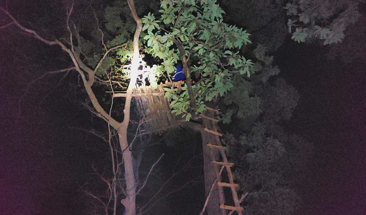 Telangana: First-ever moonlight wildlife census carried out in Kawal Tiger Reserve in Adilabad